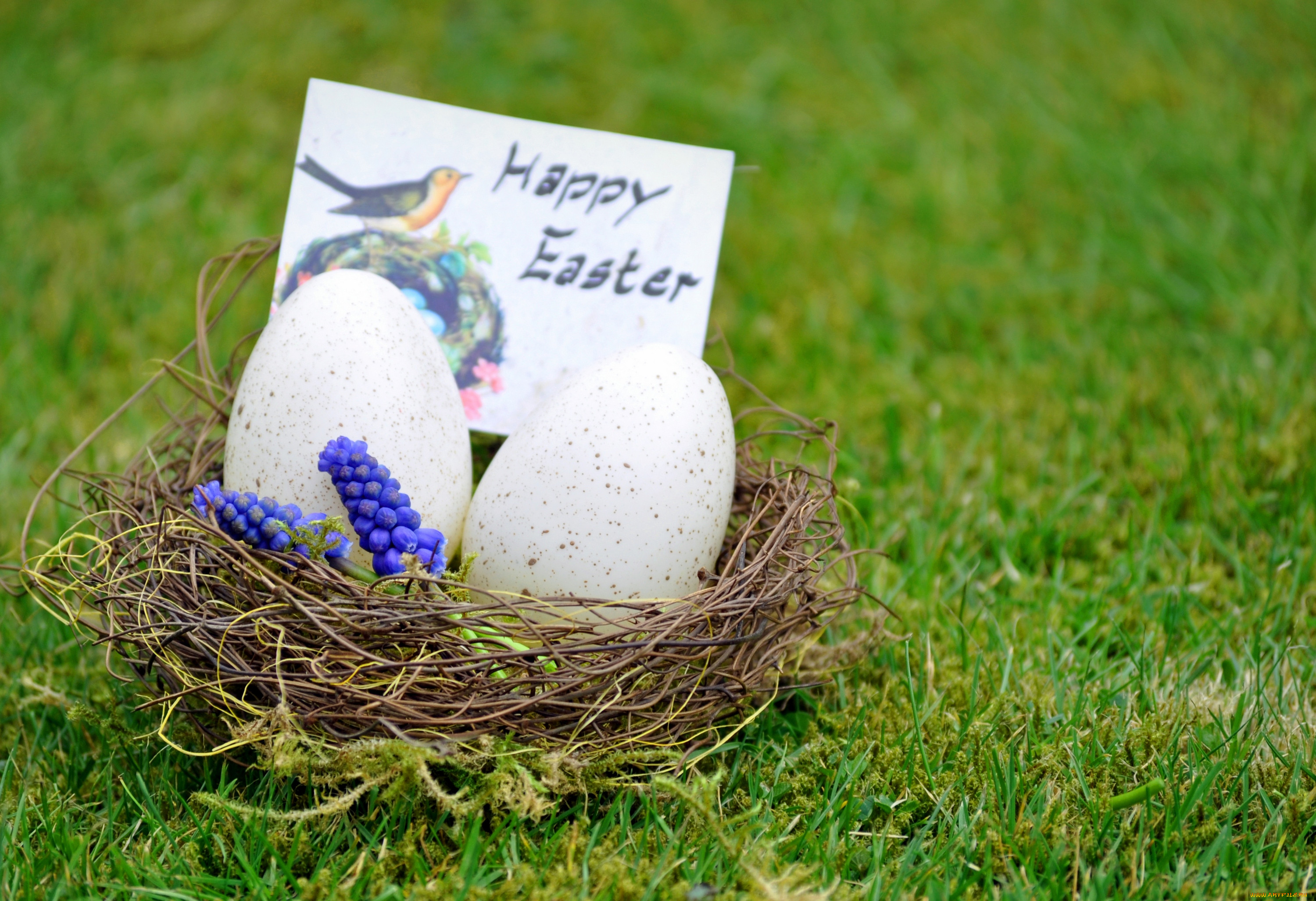 , , easter, , , , 